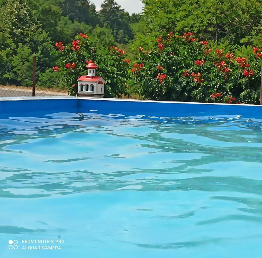Guest House Vila Aleksa Bogutovac Eksteriør billede