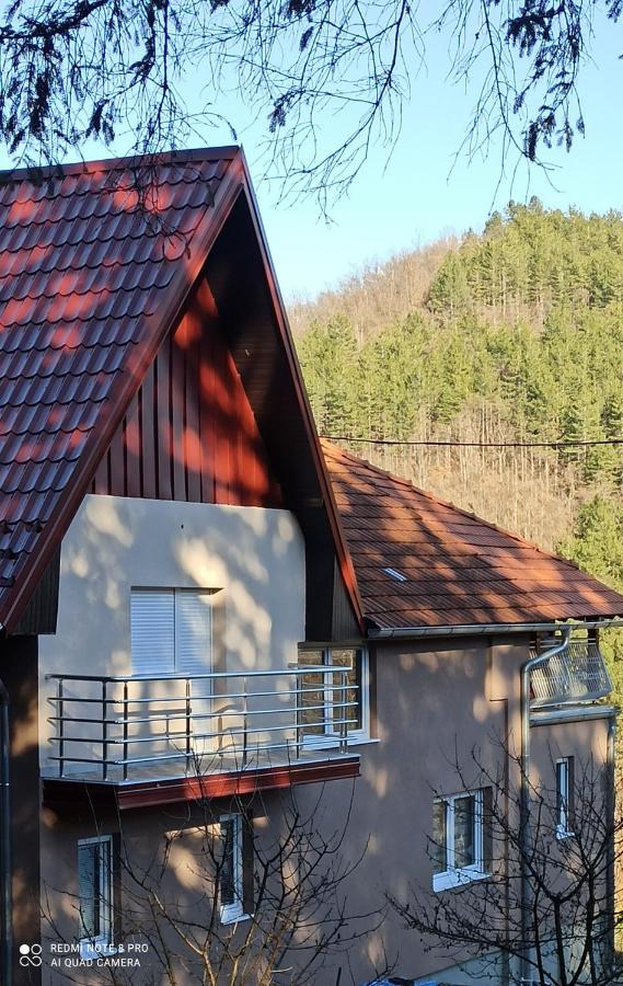 Guest House Vila Aleksa Bogutovac Eksteriør billede