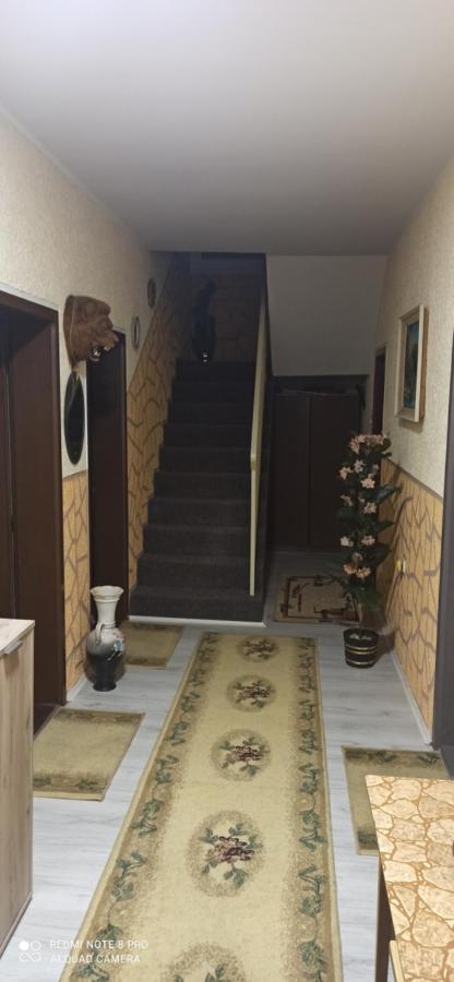 Guest House Vila Aleksa Bogutovac Eksteriør billede