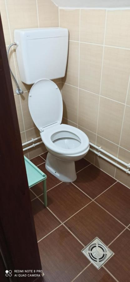 Guest House Vila Aleksa Bogutovac Eksteriør billede