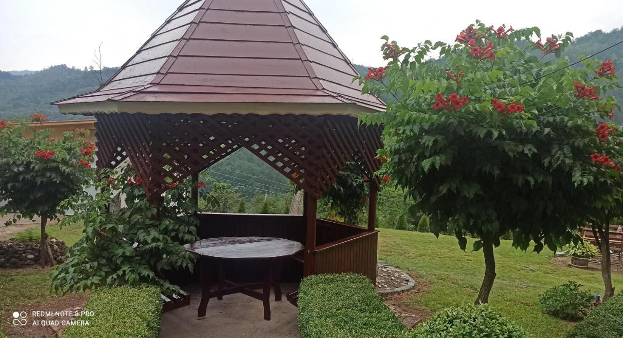 Guest House Vila Aleksa Bogutovac Eksteriør billede